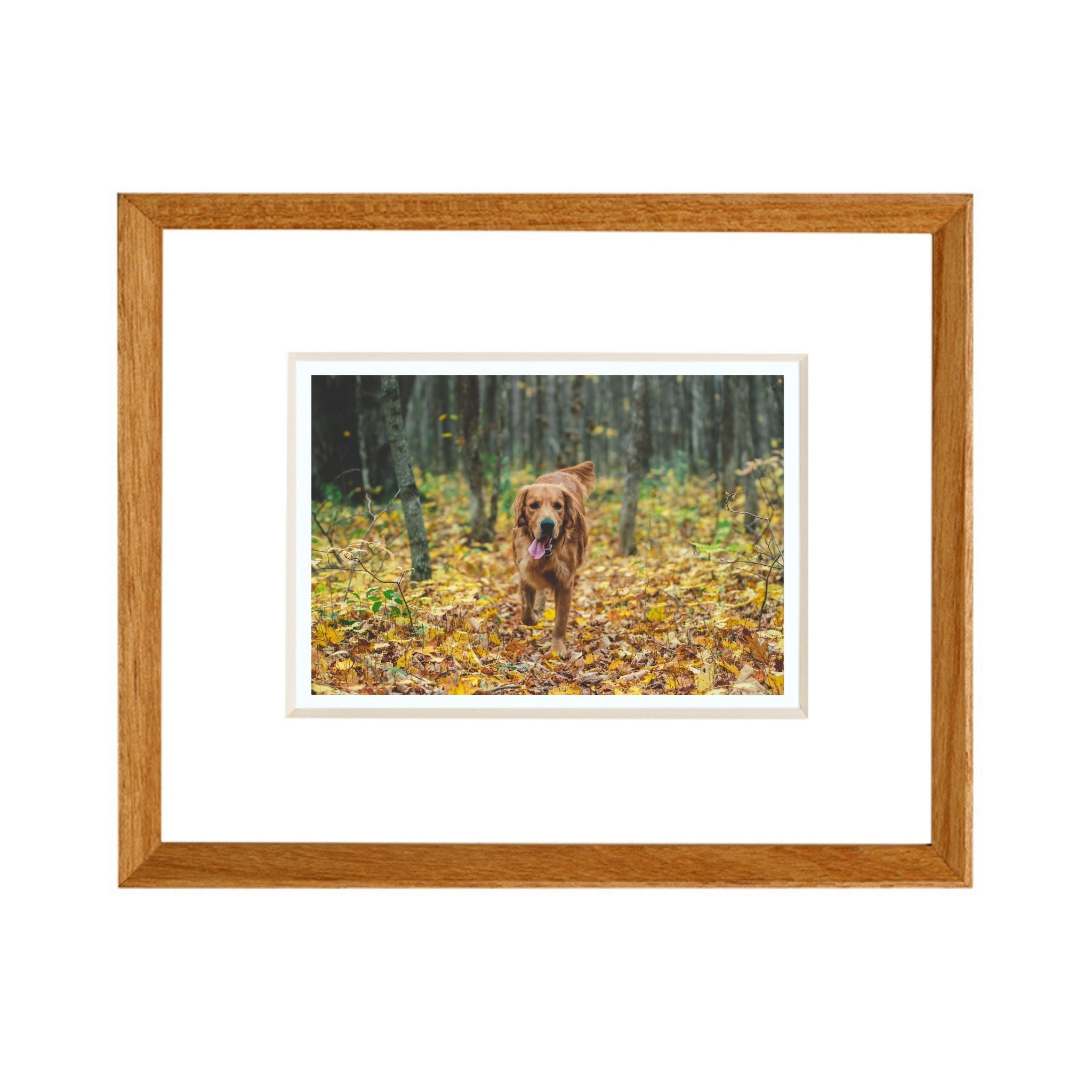 Custom Solid Wood Picture Frame in Any Size – Handmade White Ash, Teak, or Black Walnut Standard or Floating Frame