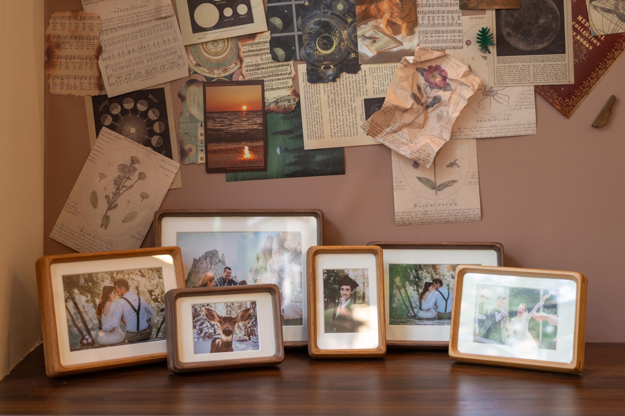 Handcrafted with traditional joinery. Sustainable, plastic-free, and built to last 50+ years.