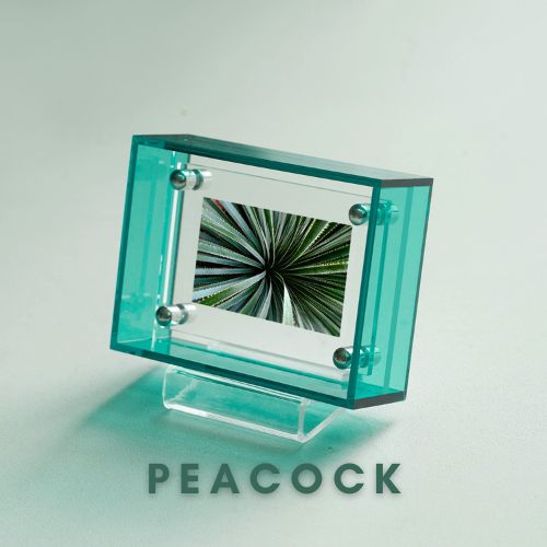 Mini Pop Series Acrylic Picture Frame – Peacock | Thin Transparent Design | Bold Mini Display Frame