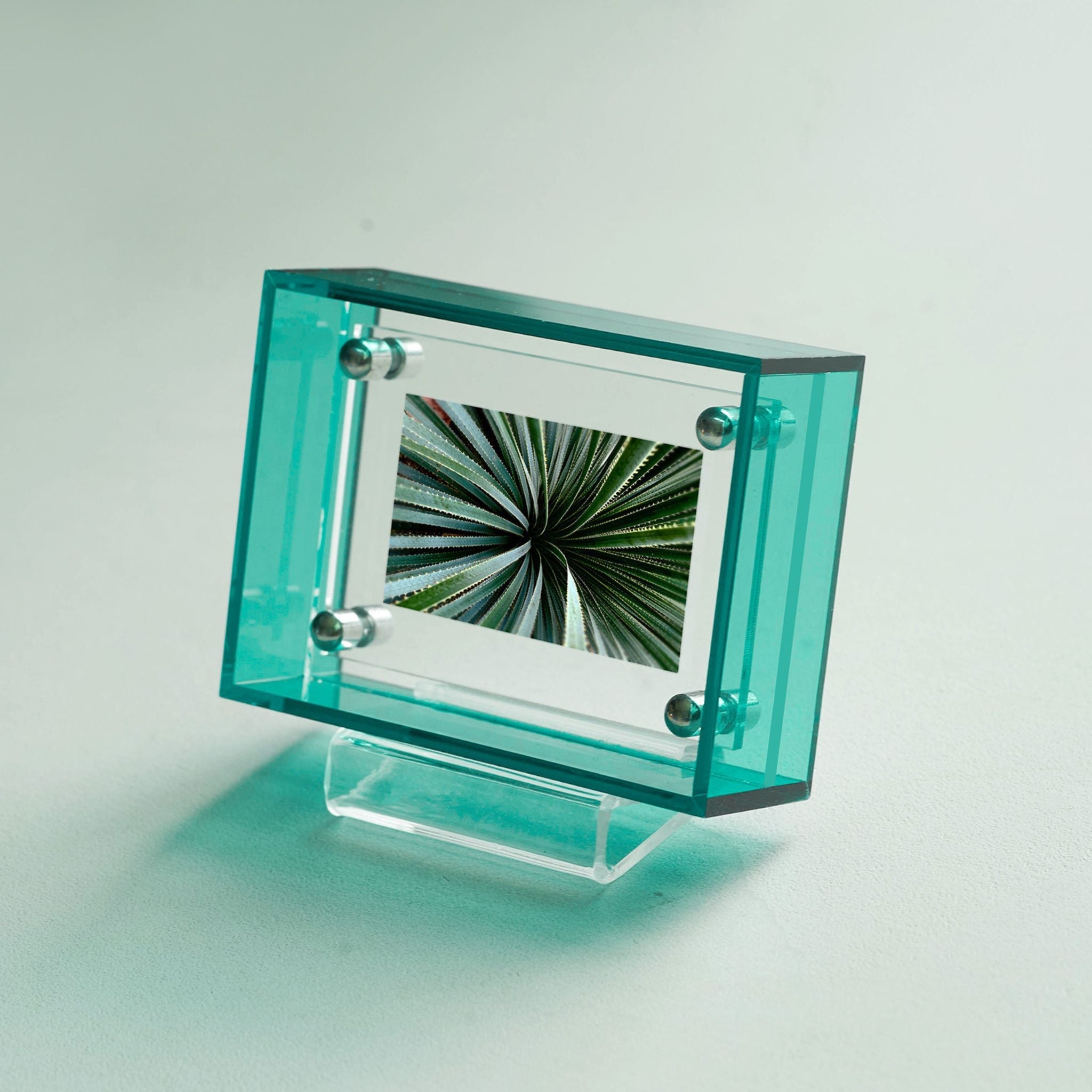 Mini Pop Series Acrylic Picture Frame – Peacock | Thin Transparent Design | Bold Mini Display Frame